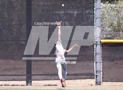 Thumbnail 3 in Sahuaro @ Saguaro photogallery.