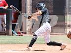 Photo from the gallery "Sahuaro @ Saguaro"