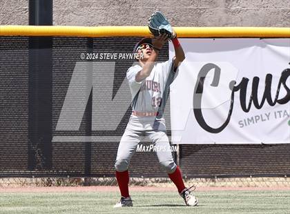 Thumbnail 2 in Sahuaro @ Saguaro photogallery.