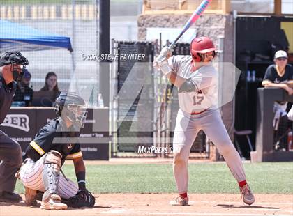 Thumbnail 3 in Sahuaro @ Saguaro photogallery.