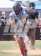 Photo from the gallery "Sahuaro @ Saguaro"