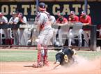 Photo from the gallery "Sahuaro @ Saguaro"