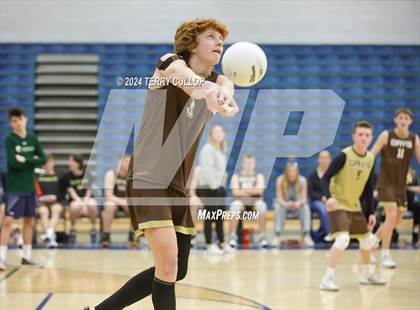 Thumbnail 3 in Davis @ Copper Hills photogallery.
