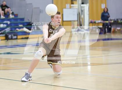 Thumbnail 3 in Davis @ Copper Hills photogallery.