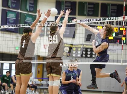 Thumbnail 1 in Davis @ Copper Hills photogallery.