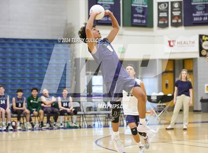 Thumbnail 1 in Davis @ Copper Hills photogallery.
