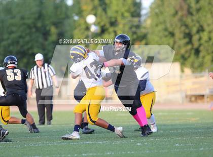 Thumbnail 3 in Gregori @ Enochs photogallery.