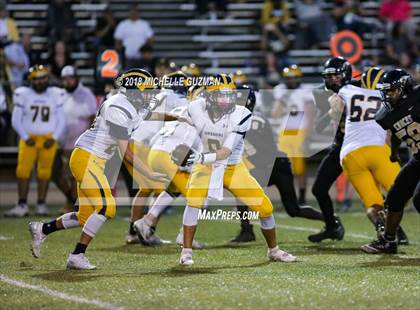 Thumbnail 3 in Gregori @ Enochs photogallery.