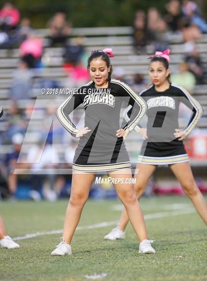 Thumbnail 1 in Gregori @ Enochs photogallery.