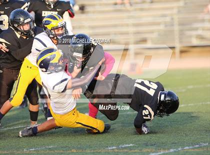 Thumbnail 3 in Gregori @ Enochs photogallery.