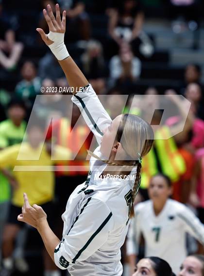 Thumbnail 2 in Perry @ Basha photogallery.