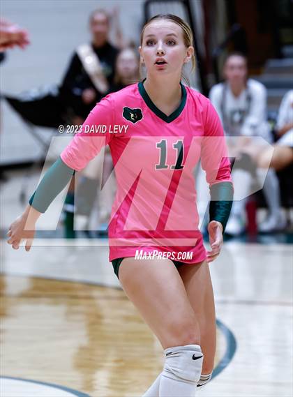 Thumbnail 2 in Perry @ Basha photogallery.