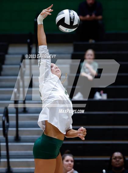 Thumbnail 1 in Perry @ Basha photogallery.