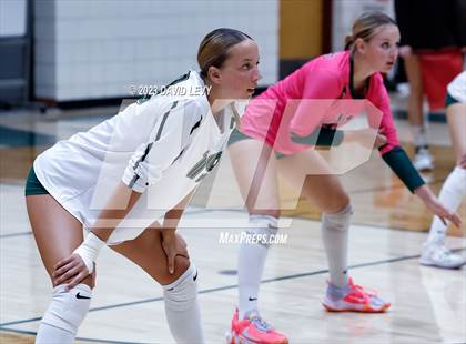 Thumbnail 2 in Perry @ Basha photogallery.