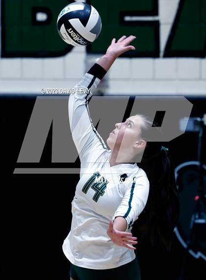 Thumbnail 2 in Perry @ Basha photogallery.