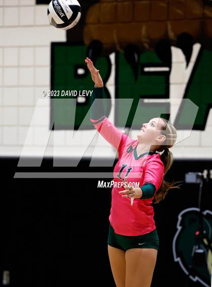 Thumbnail 1 in Perry @ Basha photogallery.