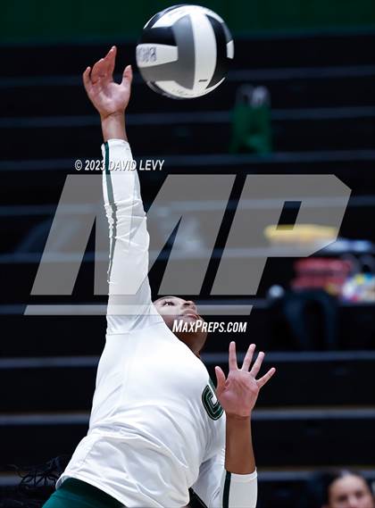 Thumbnail 1 in Perry @ Basha photogallery.