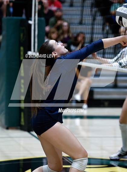 Thumbnail 1 in Perry @ Basha photogallery.