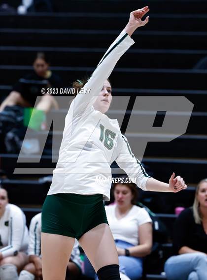 Thumbnail 1 in Perry @ Basha photogallery.