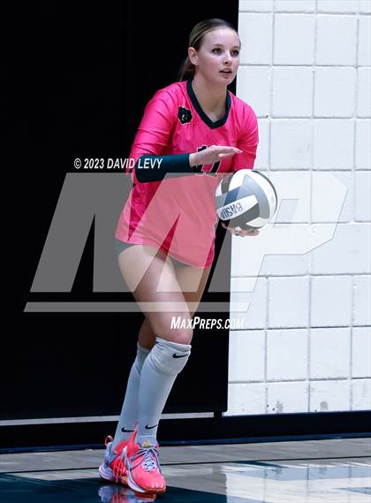 Thumbnail 1 in Perry @ Basha photogallery.