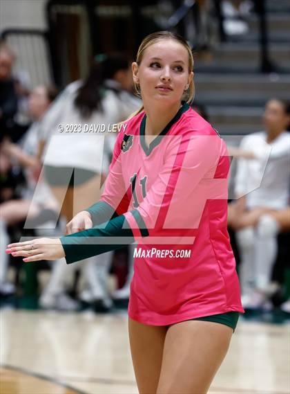 Thumbnail 2 in Perry @ Basha photogallery.
