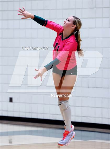 Thumbnail 1 in Perry @ Basha photogallery.