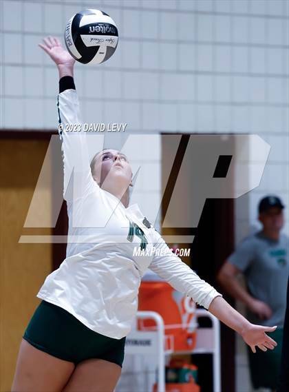 Thumbnail 3 in Perry @ Basha photogallery.