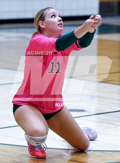 Thumbnail 3 in Perry @ Basha photogallery.
