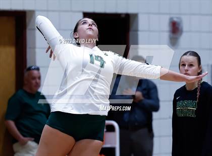 Thumbnail 1 in Perry @ Basha photogallery.