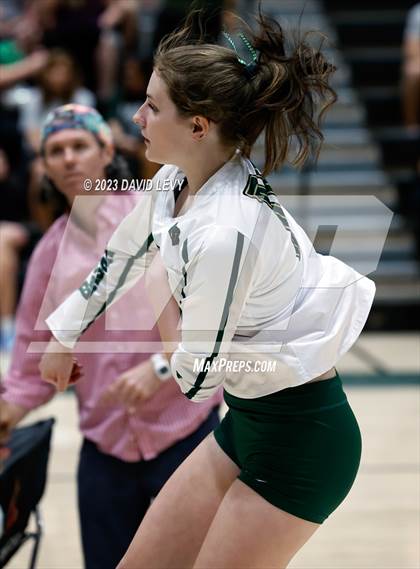 Thumbnail 1 in Perry @ Basha photogallery.