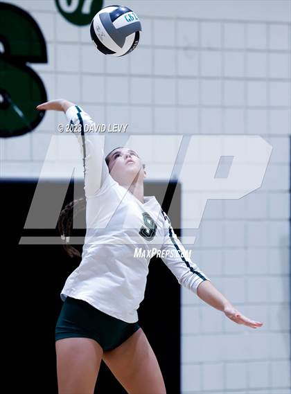 Thumbnail 2 in Perry @ Basha photogallery.