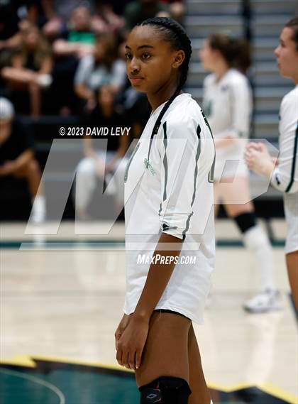 Thumbnail 2 in Perry @ Basha photogallery.