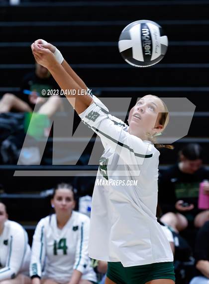 Thumbnail 2 in Perry @ Basha photogallery.