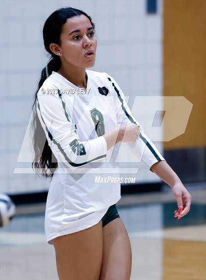 Thumbnail 2 in Perry @ Basha photogallery.