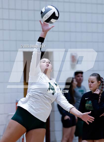 Thumbnail 3 in Perry @ Basha photogallery.