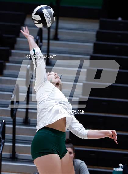 Thumbnail 1 in Perry @ Basha photogallery.