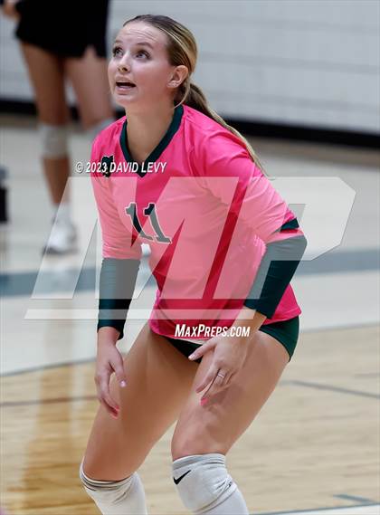 Thumbnail 3 in Perry @ Basha photogallery.