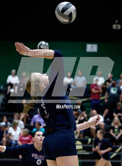 Thumbnail 2 in Perry @ Basha photogallery.