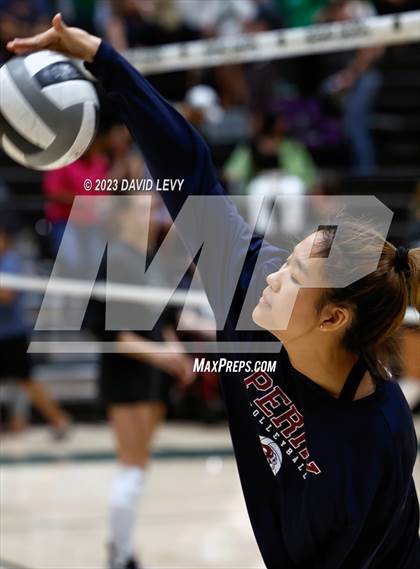 Thumbnail 2 in Perry @ Basha photogallery.