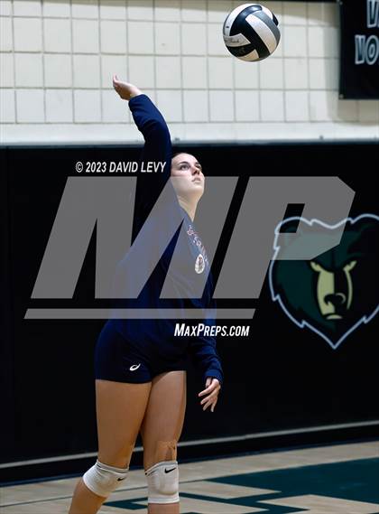 Thumbnail 1 in Perry @ Basha photogallery.