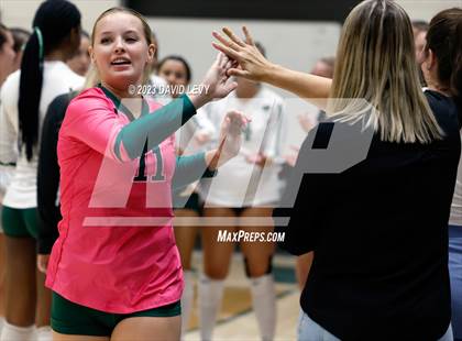 Thumbnail 2 in Perry @ Basha photogallery.
