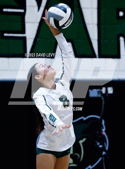 Thumbnail 1 in Perry @ Basha photogallery.