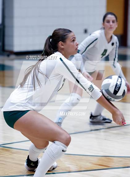 Thumbnail 1 in Perry @ Basha photogallery.