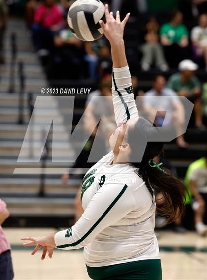 Thumbnail 1 in Perry @ Basha photogallery.