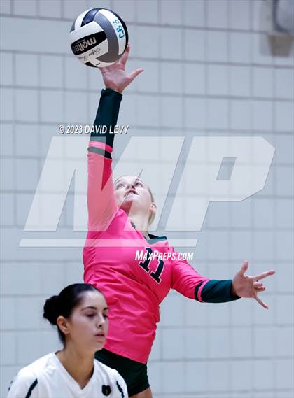 Thumbnail 2 in Perry @ Basha photogallery.