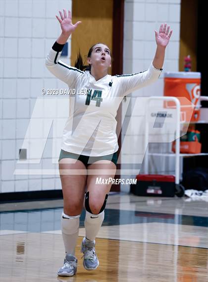 Thumbnail 2 in Perry @ Basha photogallery.