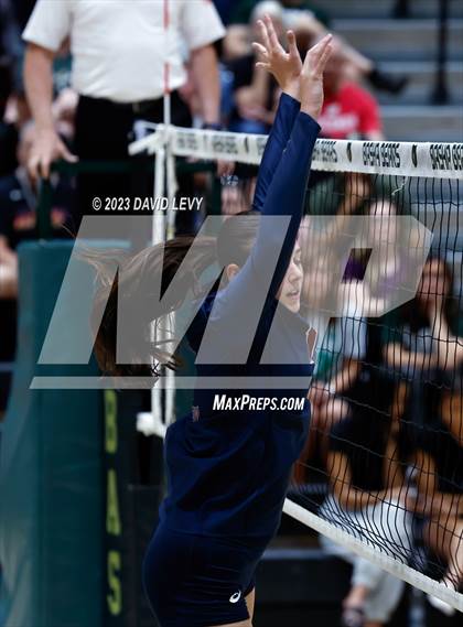 Thumbnail 1 in Perry @ Basha photogallery.