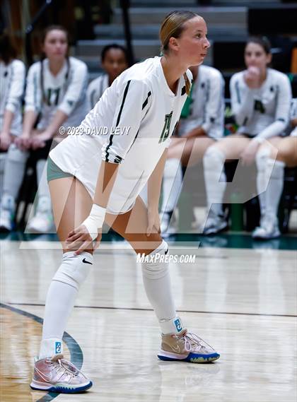 Thumbnail 1 in Perry @ Basha photogallery.