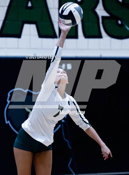 Thumbnail 2 in Perry @ Basha photogallery.