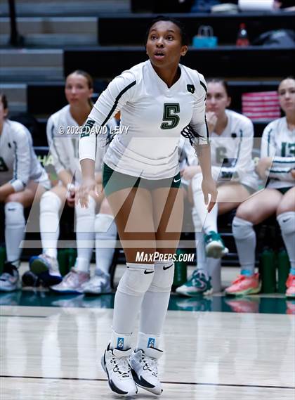 Thumbnail 3 in Perry @ Basha photogallery.